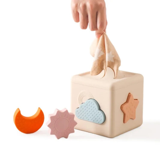 Silicone Shape Sorting Box
